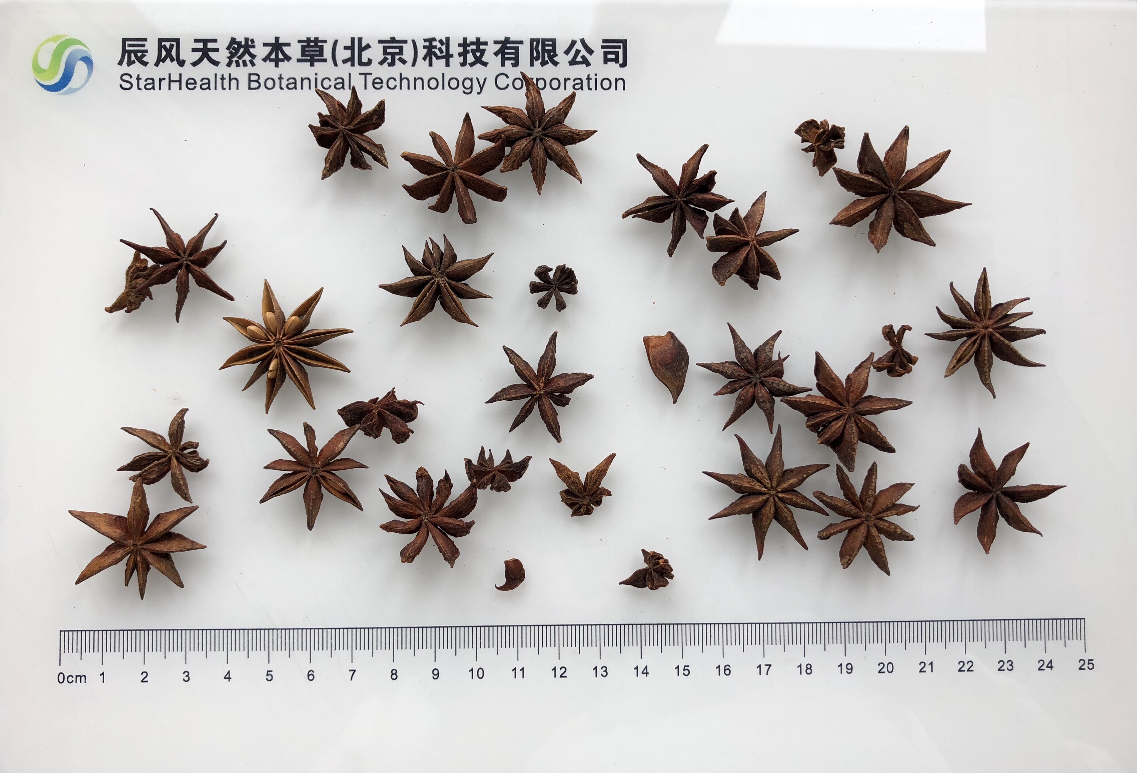 八角 - Staranise Fruit