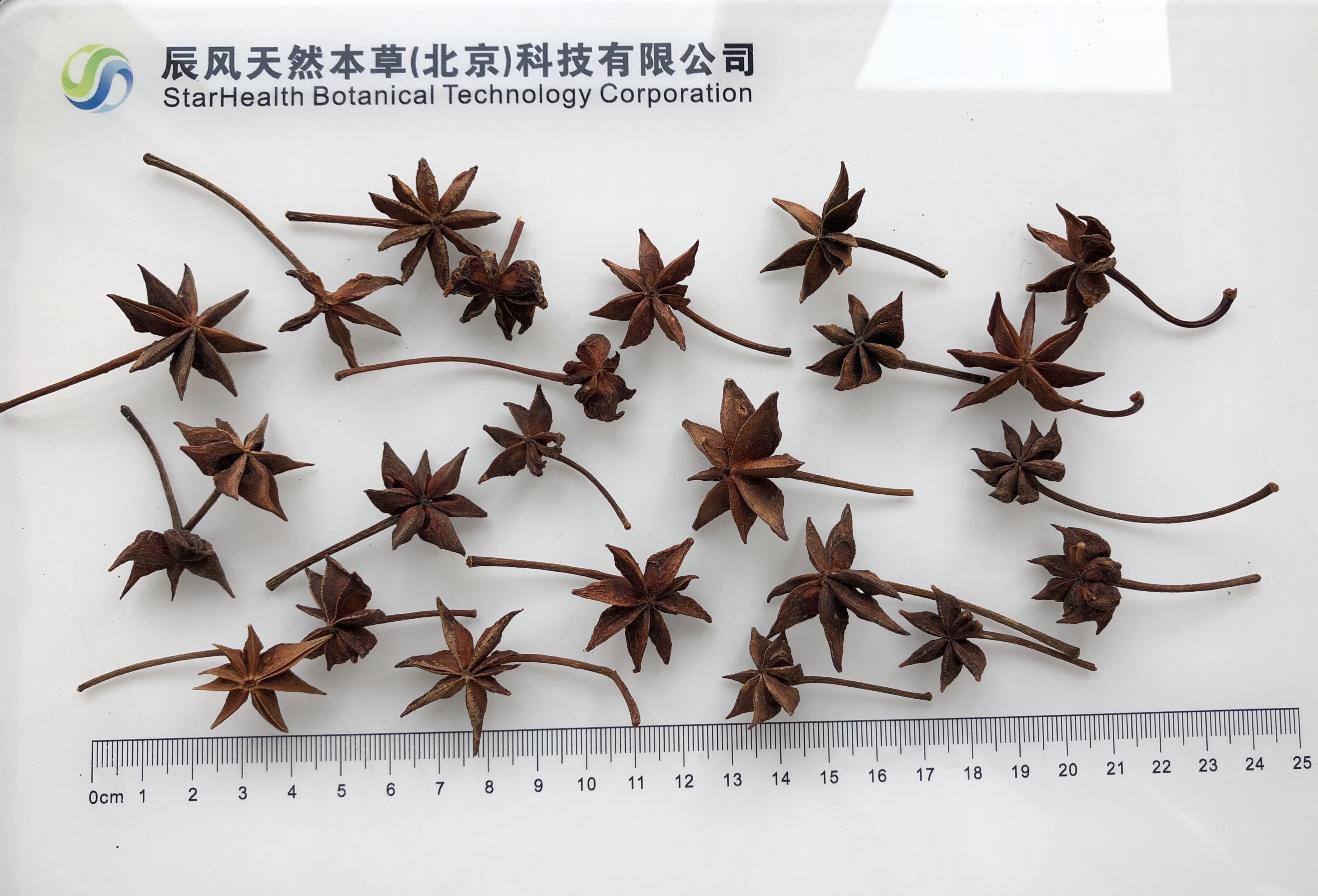 八角 - Staranise Fruit